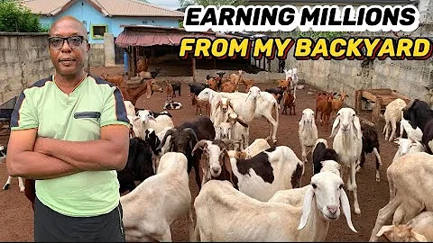 Building a Profitable Backyard Business in Nigeria (2025) | How to Start Your Own Livestock Farm