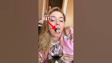 Fear of Rats? 🐀 Survive All 5 Levels If You Dare! #phobiatest #faceyourfears #viralclips