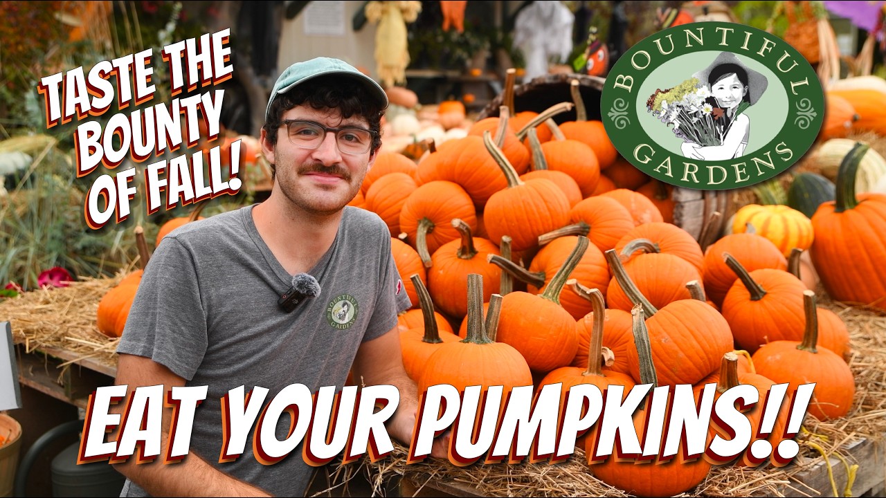 Don't Let Your Pumpkins Go to Waste! 🎃 How to Eat Your Fall Decor! 🍁