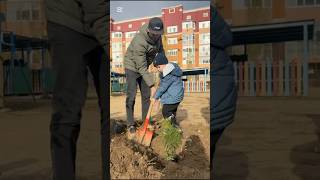 Short субботник в садике #Субботник #ДетскийСад #ДоброеДело #ПосадкаДеревьев #Чистота