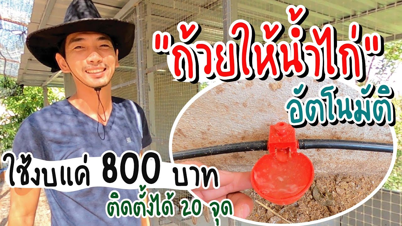 ถ้วยให้น้ำไก่ อัตโนมัติ งบประมาณ 800 บาท ติดตั้ง 20 จุด เสร็จเรียบร้อยแล้วครับ