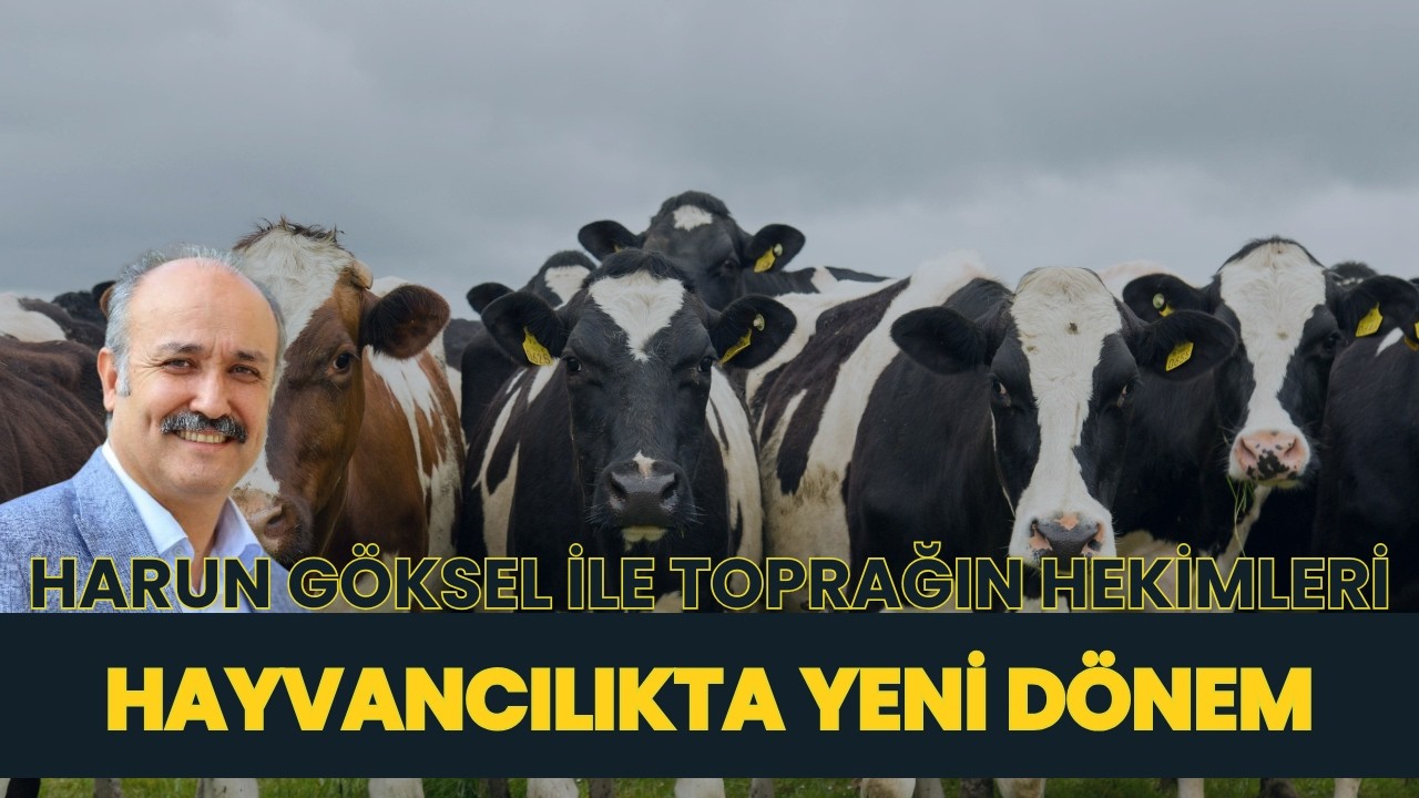 HAYVANCILIKTA YENİ DÖNEM I HARUN GÖKSEL İLE TOPRAĞIN HEKİMLERİ