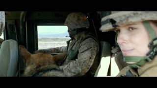 Celebrity Megan Leavey The Story 5 Wealth