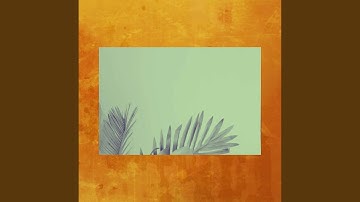 Calm Backdrops for Forgetting The Time