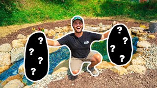 Stocking My New Backyard Mini Pond With Fish