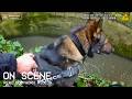Police Dog Unit Hunts Down Thief Hiding In River | ON SCENE UK Police Bodycam