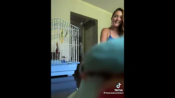 ¿Los pájaros dan besos?