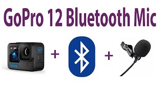 GoPro 12 Bluetooth Mic