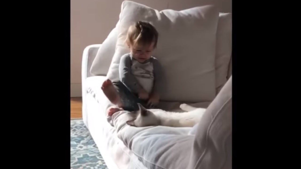 funny cats sleeping in weird positions compilation 2014 funnyplox Baby shares precious playtime moment with cat best friend