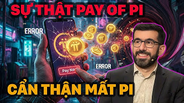 Tôi Mất 5 Năm Tích Lũy Pi và Đây là Sự Thật Về Pay of Pi