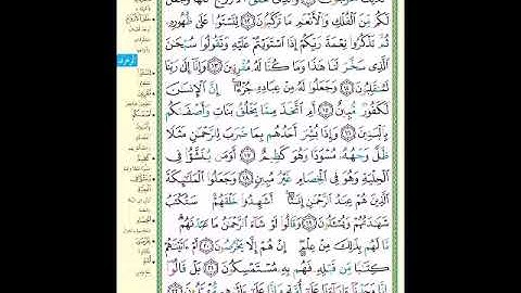 الصفحة 490 من المصحف الشريف  سورة الزخرف   مشروع حفظ القرآن الكريم