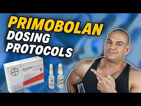 Primobolan Dosing Protocols | Cosmetic Appeal | How Primo Feels | Vigorous PEDs