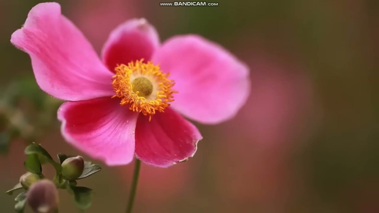 Инвестиционный фонд, работающий «в фоновом режиме» !