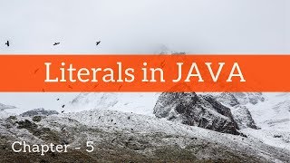 Literals in JAVA ~ Chapter - 5 Wealth
