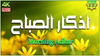 أذكار الصباح كاملة بصوت جميل💚راحة وسكينة القارئ اسماعيل القاضي Adkar Sabah HD