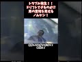 まさかのトラブル発生！それでも意地の走りを見せる漢ノムケン！ #videooption #automobile #vopt #カスタム #切り抜き