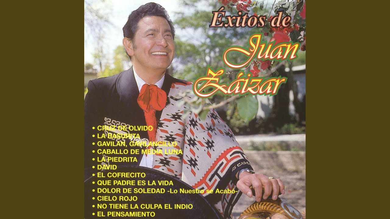 Gavilan gavilancillo