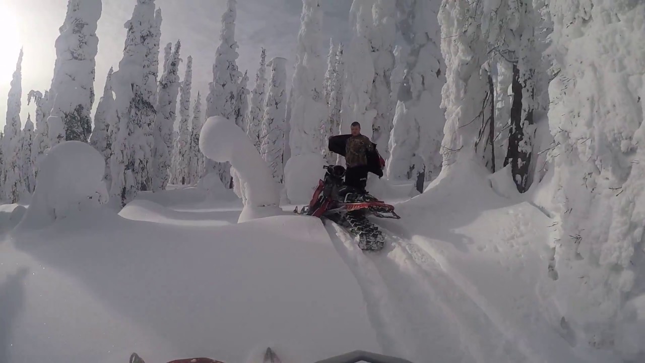 Revelstoke, BC Snowmobiling 2017 YouTube