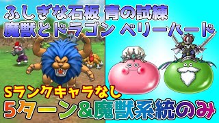 【DQタクト】ふしぎな石板 青の試練 魔獣とドラゴン ベリーハードをSランクキャラなしでクリア出来る編成紹介【#ドラクエタクト/#ドラゴンクエストタクト/#DQTact】
