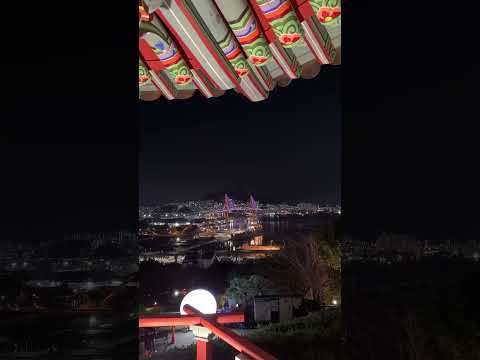 부산 야경 스팟 #shortvideo #오늘뭐먹지