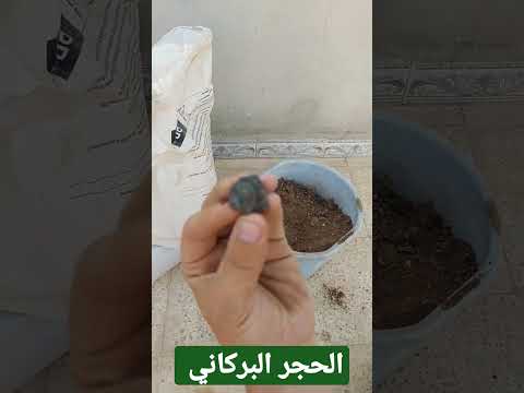 سبب استخدام حجر أسود بالزراعة