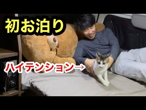 初めてキャンピングカーでお泊りするも、テンション上がりすぎて夜なべする子猫レオ