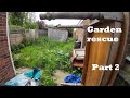 Helping this family get their garden back  my biggest free yard clear up so far  part 2