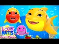 New Baby Shark Song | Nursery Rhymes and Kids Songs with Loco Nuts