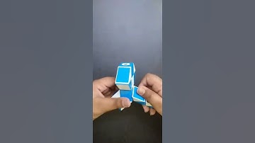 snake cube cat#cat#shorts