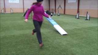 Do It - Trkman Foundation 5.1 - Out, serpentine, dogwalk