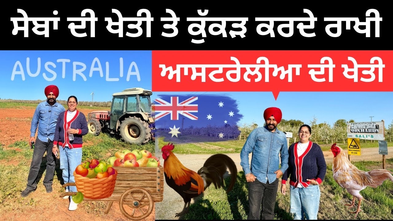 ਸੇਬਾਂ ਦੀ ਖੇਤੀ ਤੇ ਕੁੱਕੜ ਕਰਦੇ ਰਾਖੀ Australia Farm House | Punjabi Travel Couple | Ripan Khushi
