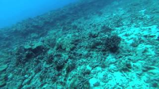 SCUBA2