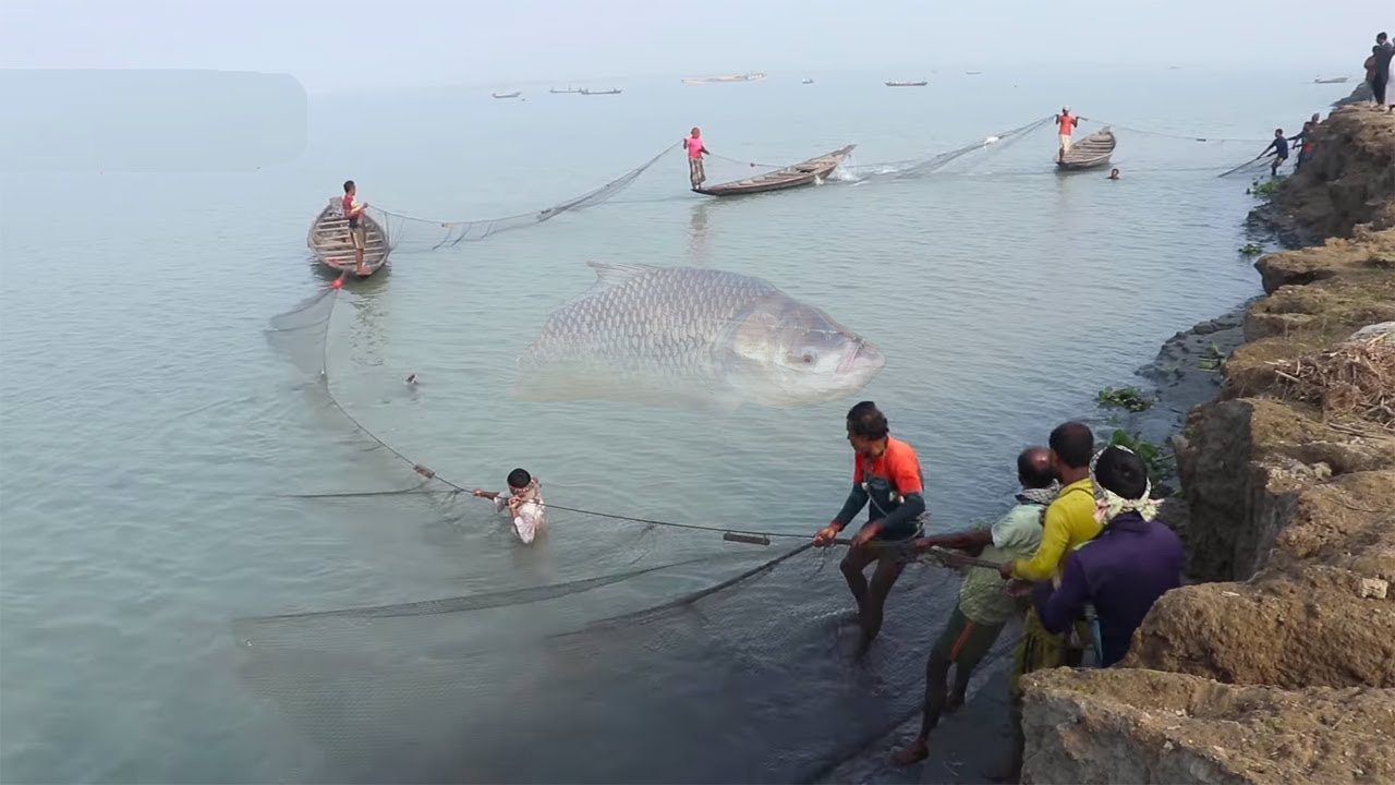 Best Net Fishing Video 2025 - Big Fish Catching With Net in The River