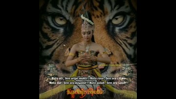 Story wa bangbang wetan dan macan