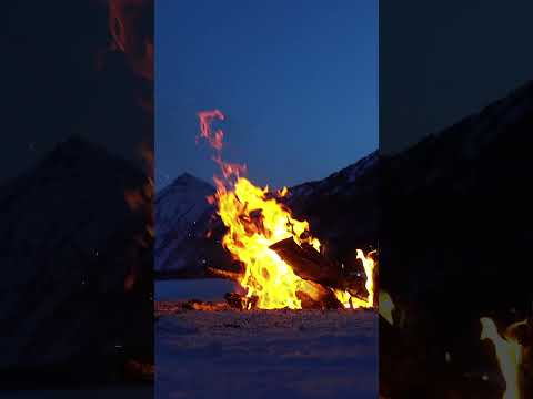 Аварийная ночевка в зимнем лесу. Главные правила #природа #интересно