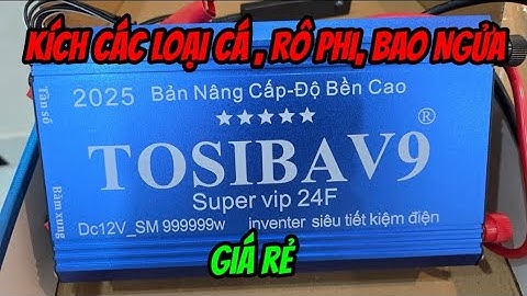 Máy kích cá siêu mạnh - bao các loại cá