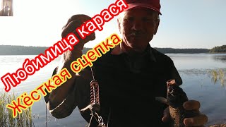 Рыбалка на донки на Убийцу карася и Соску. Рыбалка удалась!