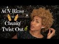 HOW TO: ACV Rinse + Chunky Twist Out on 4B Natural Hair