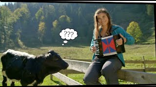 Kaibe Kimm | Kinderlied | Anna auf der Alm