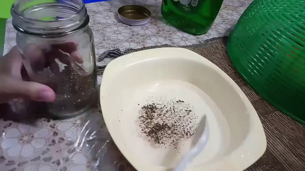 Eksperimen sains kanakkanak  YouTube