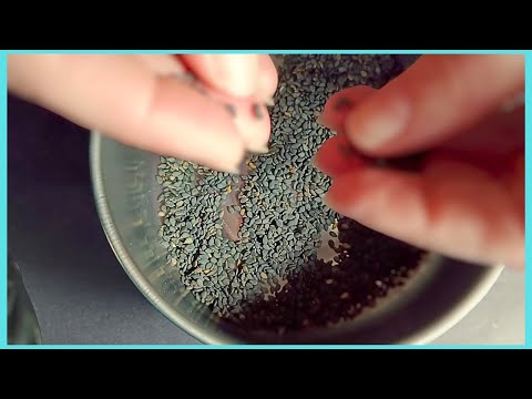 ASMR Grãos Relaxante