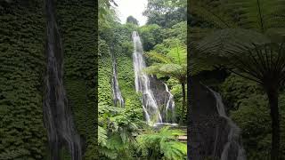 Chasing Waterfalls in Bali 🦋💦 #Shorts
