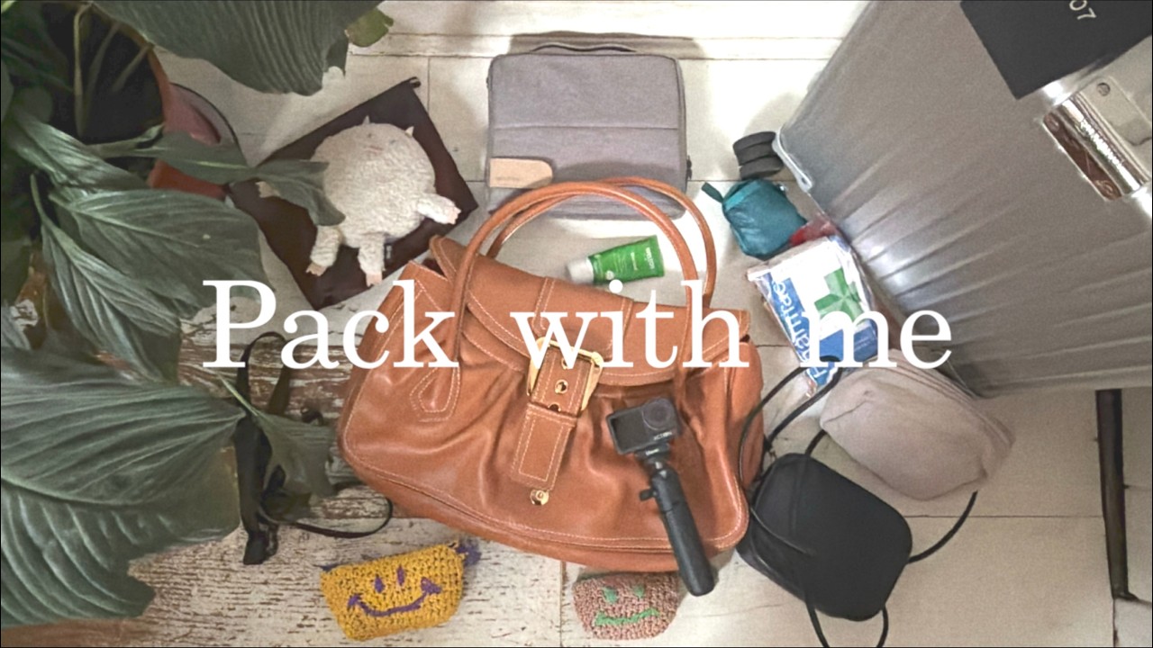 パリとニースのトラウマ。2泊3日週末旅準備#フランス #スリ #pack with me