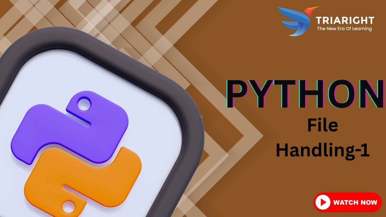 File Handling in Python | Opening and Reading Files | Python Tutorial ...