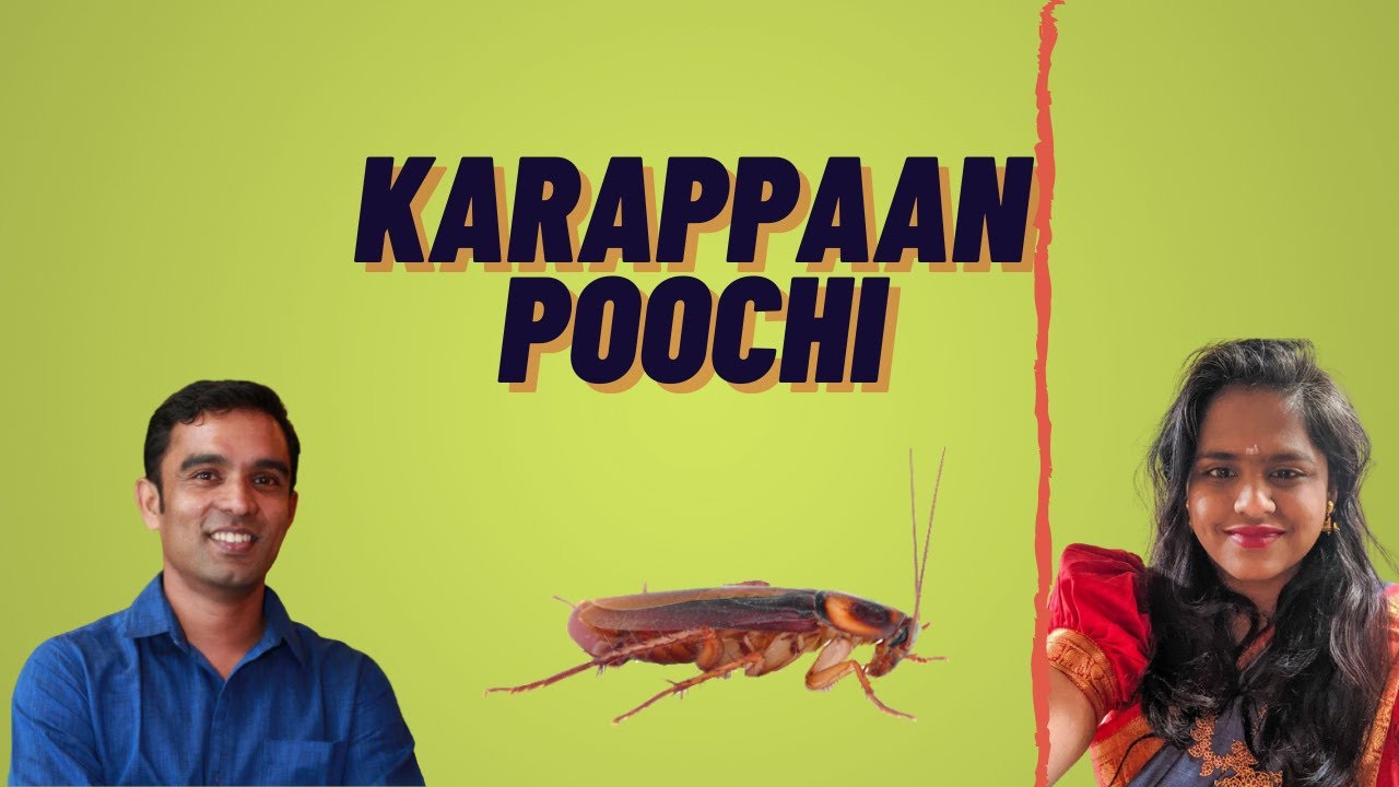 Karappaan Poochi - Cockroach - YouTube