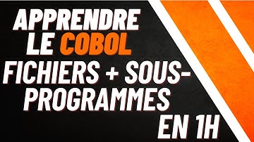 Tout Savoir sur la Manipulation des Fichiers et les Sous-Programmes en 1H