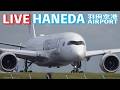 🔶LIVE📡'26/5/7 羽田空港 HANEDA INTERNATIONAL AIRPORT plane spotting