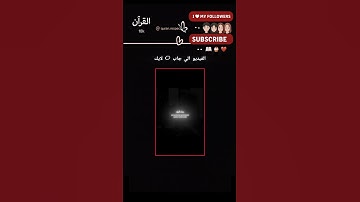 #فلسطين #غزة #قران #تلاوة_خاشعة #تلاوة_مؤثرة #تلاوة_تقشعر_بدن #تلاوة_تخليك_تبكي