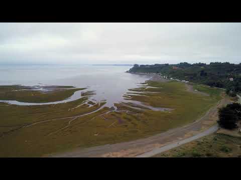 23 Río Chamiza Puerto Montt 4k