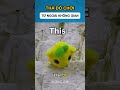 THẢ ĐỒ CHƠI THEO SỐ FOLLOW